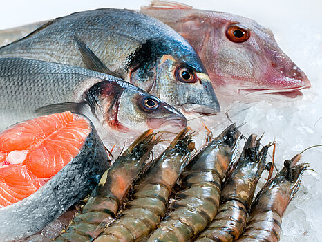 Produit de la mer Produit de la mer - Transformation des produits halieutiques