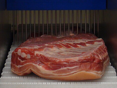 Photo montrant une pièce de viande dans un injecteur industriel, au moment où les aiguilles pénètrent la viande pour injecter une solution