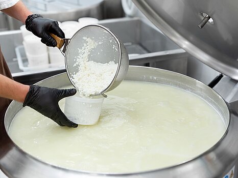 Mélange de fromage blanc