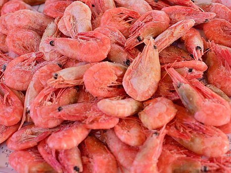 Crevettes roses congelées, regroupées et prêtes pour la transformation ou le conditionnement