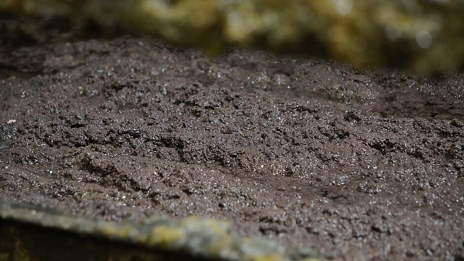 Image de terre humide Image de terre humide