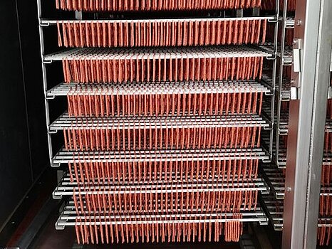 Photo montrant des saucisses entièrement séchées, pendues en rangées serrées sur des supports métalliques dans un espace de séchage