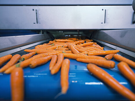 Image de carottes sur un convoyeur industriel, illustrant une étape de cuisson ou de décongélation